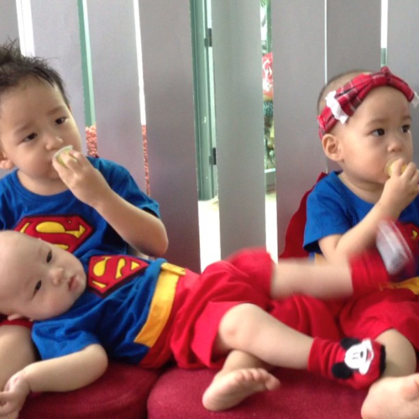 น้องชิโน่ น้องชิลี่ น้องชีต้า น้องชิโน่ น้องชิลี่ น้องชีต้า