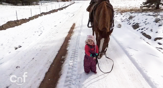 เด็ก 2 ขวบจูงม้ากลับบ้าน เด็ก 2 ขวบจูงม้ากลับบ้าน