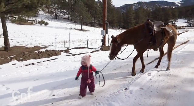 เด็ก 2 ขวบจูงม้ากลับบ้าน เด็ก 2 ขวบจูงม้ากลับบ้าน