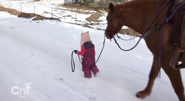 เด็ก 2 ขวบจูงม้ากลับบ้าน เด็ก 2 ขวบจูงม้ากลับบ้าน