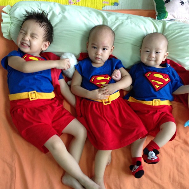 น้องชิโน่ น้องชิลี่ น้องชีต้า น้องชิโน่ น้องชิลี่ น้องชีต้า