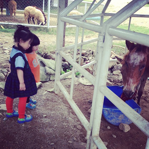 น้องออกัส - น้องออก้า น้องออกัส - น้องออก้า