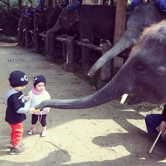 พลอย ชิดจันทร์ พาลูก ๆ น้องชิโน่ ชิลี่ ชีต้า เที่ยวลั้ลลาที่เชียงใหม่ พลอย ชิดจันทร์ พาลูก ๆ น้องชิโน่ ชิลี่ ชีต้า เที่ยวลั้ลลาที่เชียงใหม่