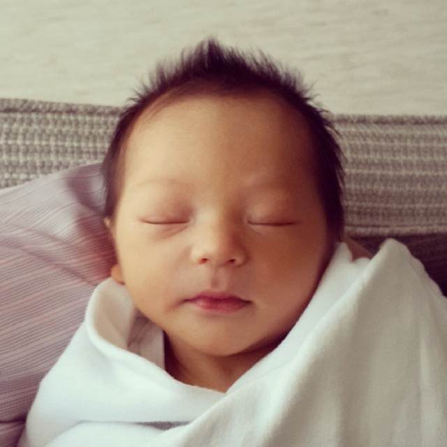 น้องแพนเตอร์ คอร์ป ไดเรนดัล น้องแพนเตอร์ คอร์ป ไดเรนดัล