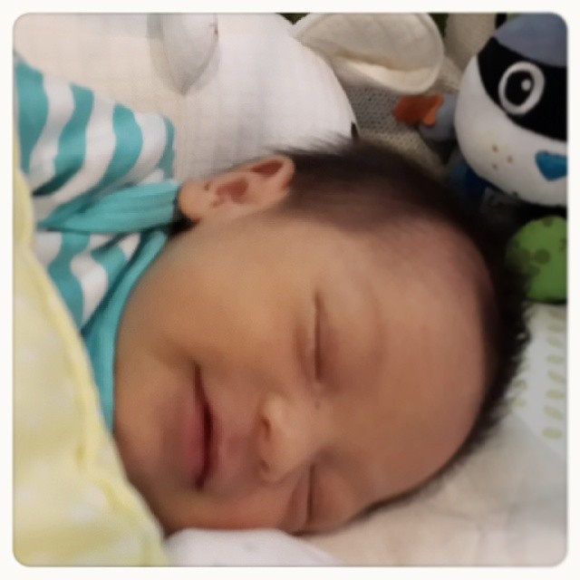 น้องแพนเตอร์ คอร์ป ไดเรนดัล น้องแพนเตอร์ คอร์ป ไดเรนดัล