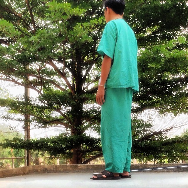 มะตอย มะตอย