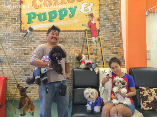 คาเฟ่สุนัข คาเฟ่สุนัข