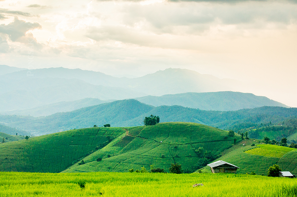 บ้านป่าบงเปียง จังหวัดเชียงใหม่ บ้านป่าบงเปียง จังหวัดเชียงใหม่