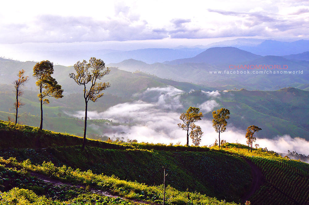 อุทยานแห่งชาติขุนสถาน จังหวัดน่าน อุทยานแห่งชาติขุนสถาน จังหวัดน่าน