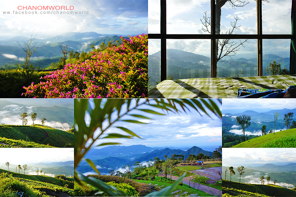 อุทยานแห่งชาติขุนสถาน จังหวัดน่าน อุทยานแห่งชาติขุนสถาน จังหวัดน่าน