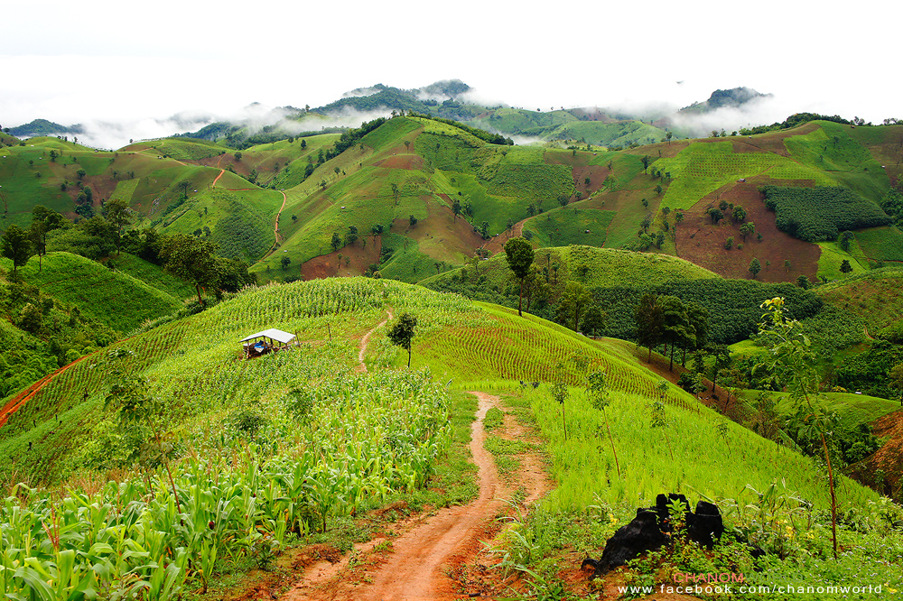 อุทยานแห่งชาติขุนสถาน อุทยานแห่งชาติขุนสถาน