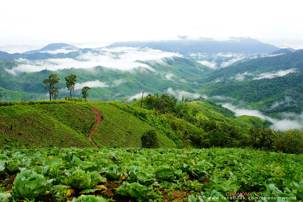 อุทยานแห่งชาติขุนสถาน อุทยานแห่งชาติขุนสถาน