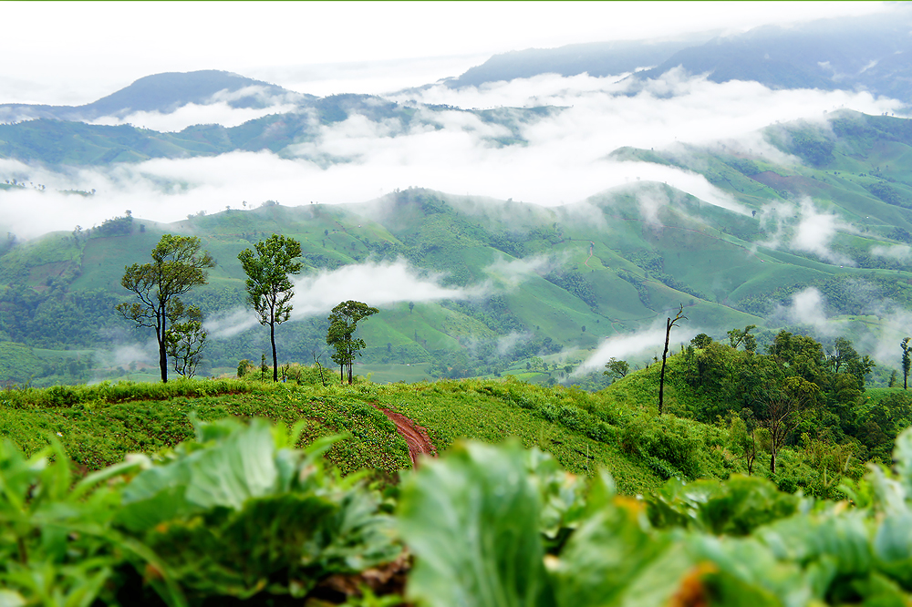 อุทยานแห่งชาติขุนสถาน อุทยานแห่งชาติขุนสถาน