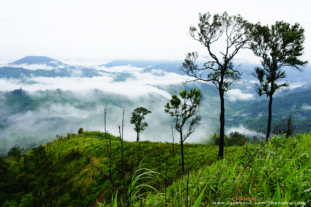 อุทยานแห่งชาติขุนสถาน อุทยานแห่งชาติขุนสถาน