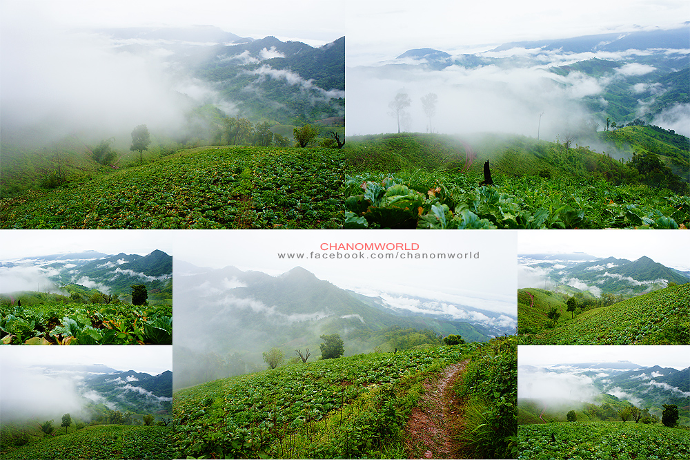 อุทยานแห่งชาติขุนสถาน อุทยานแห่งชาติขุนสถาน