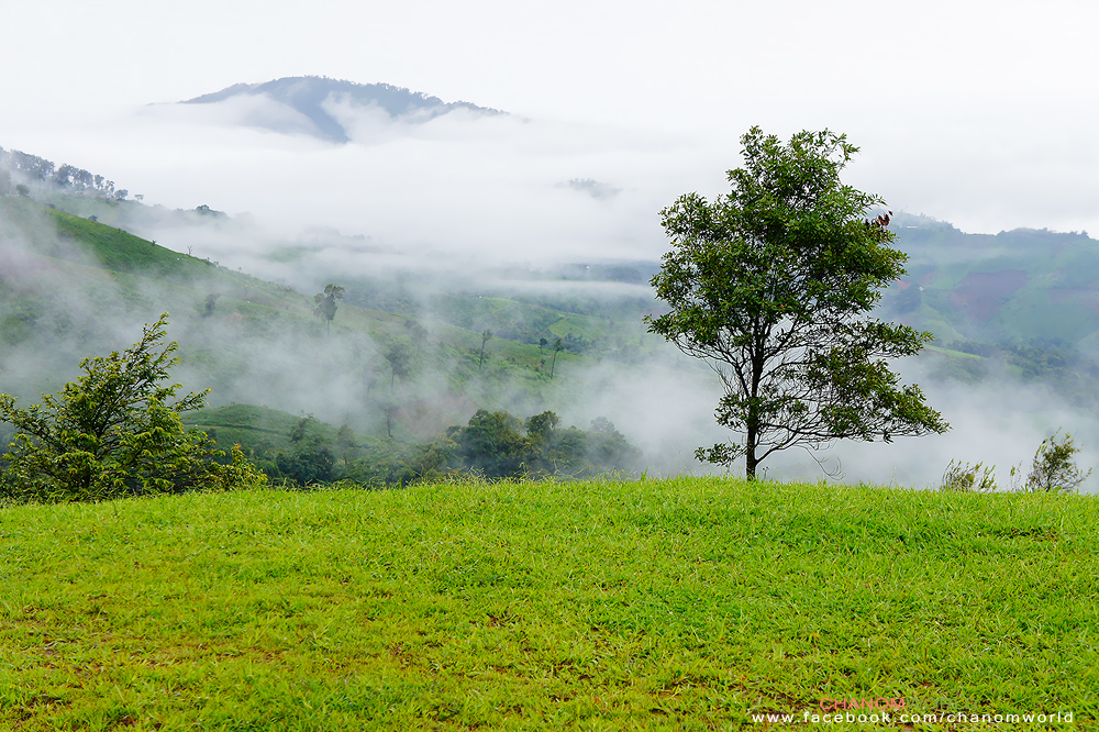 อุทยานแห่งชาติขุนสถาน อุทยานแห่งชาติขุนสถาน