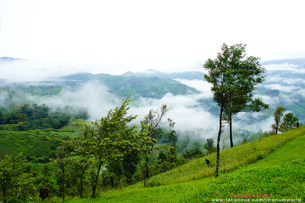 อุทยานแห่งชาติขุนสถาน อุทยานแห่งชาติขุนสถาน
