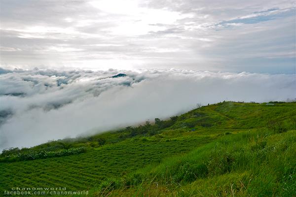 ทริปสายหมอกและขุนเขา ทริปสายหมอกและขุนเขา