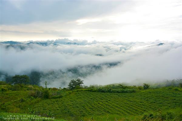 ทริปสายหมอกและขุนเขา ทริปสายหมอกและขุนเขา