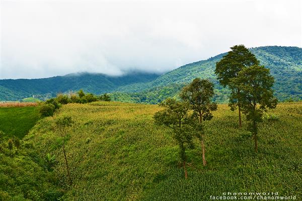ทริปสายหมอกและขุนเขา ทริปสายหมอกและขุนเขา