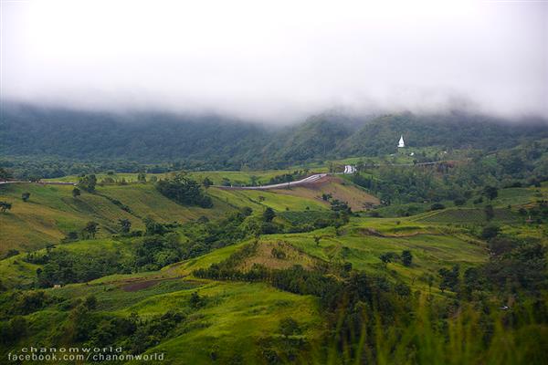 ทริปสายหมอกและขุนเขา ทริปสายหมอกและขุนเขา