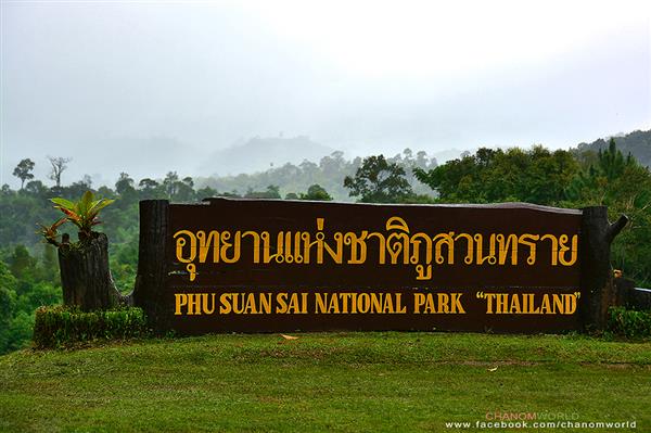 ทริปสายหมอกและขุนเขา ทริปสายหมอกและขุนเขา