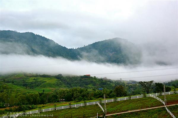 ทริปสายหมอกและขุนเขา ทริปสายหมอกและขุนเขา
