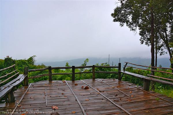 ทริปสายหมอกและขุนเขา ทริปสายหมอกและขุนเขา
