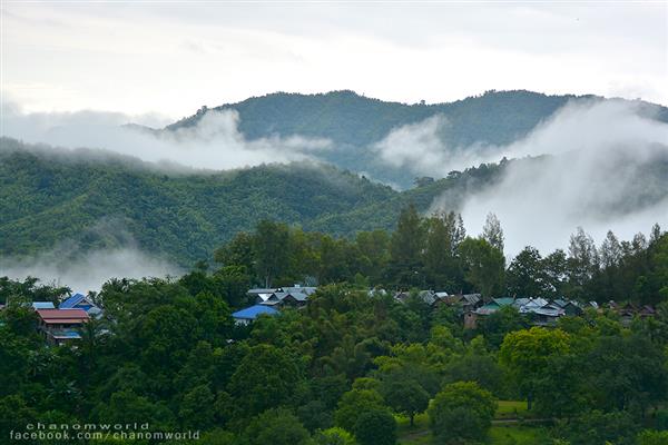 ทริปสายหมอกและขุนเขา ทริปสายหมอกและขุนเขา
