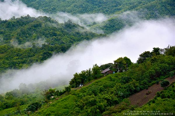 ทริปสายหมอกและขุนเขา ทริปสายหมอกและขุนเขา