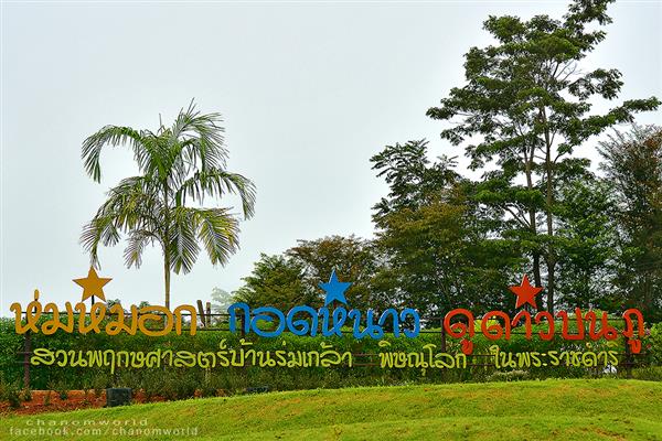 ทริปสายหมอกและขุนเขา ทริปสายหมอกและขุนเขา