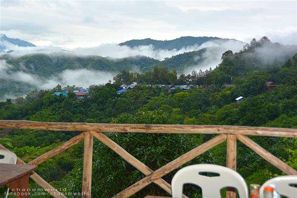 ทริปสายหมอกและขุนเขา ทริปสายหมอกและขุนเขา