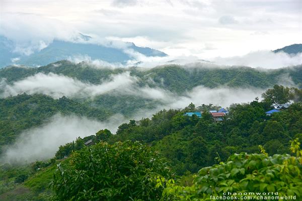 ทริปสายหมอกและขุนเขา ทริปสายหมอกและขุนเขา