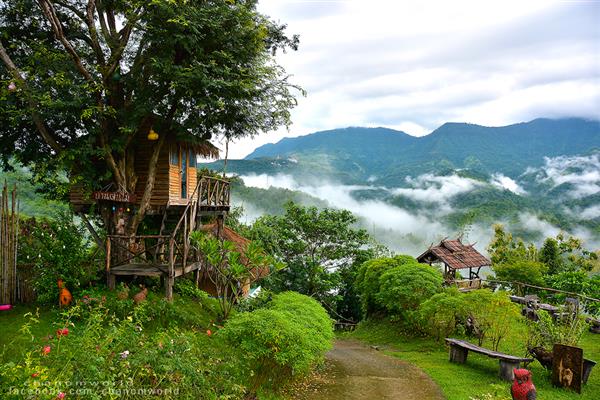 ทริปสายหมอกและขุนเขา ทริปสายหมอกและขุนเขา