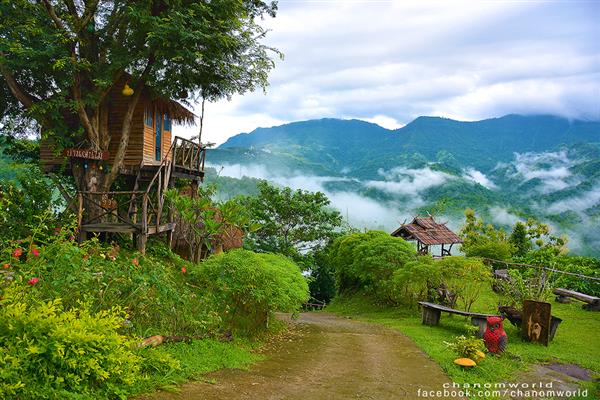 ทริปสายหมอกและขุนเขา ทริปสายหมอกและขุนเขา