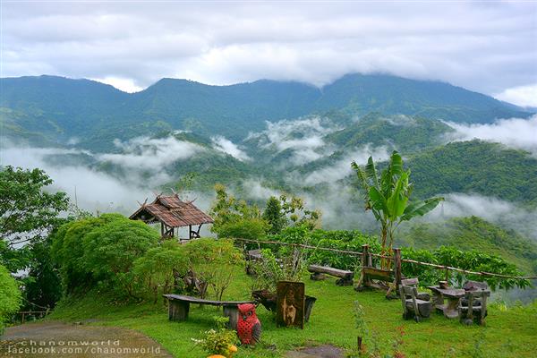 ทริปสายหมอกและขุนเขา ทริปสายหมอกและขุนเขา
