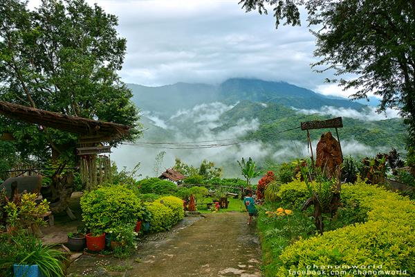 ทริปสายหมอกและขุนเขา ทริปสายหมอกและขุนเขา