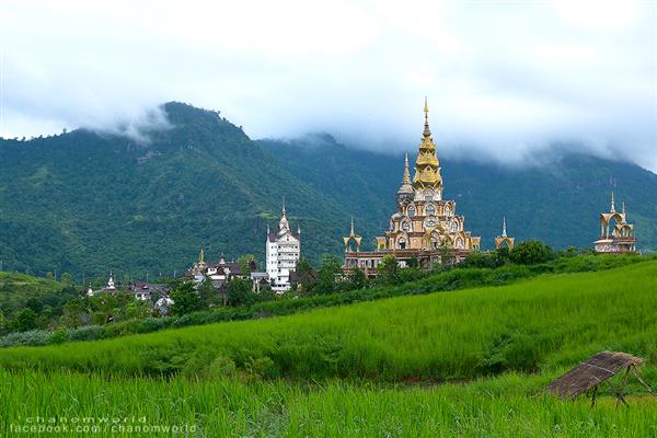 ทริปสายหมอกและขุนเขา ทริปสายหมอกและขุนเขา