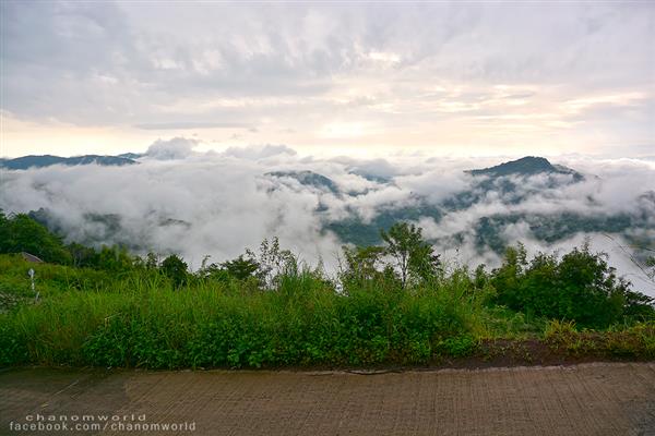 ทริปสายหมอกและขุนเขา ทริปสายหมอกและขุนเขา