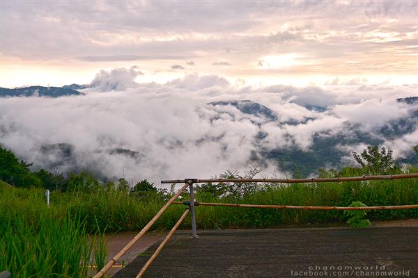 ทริปสายหมอกและขุนเขา ทริปสายหมอกและขุนเขา