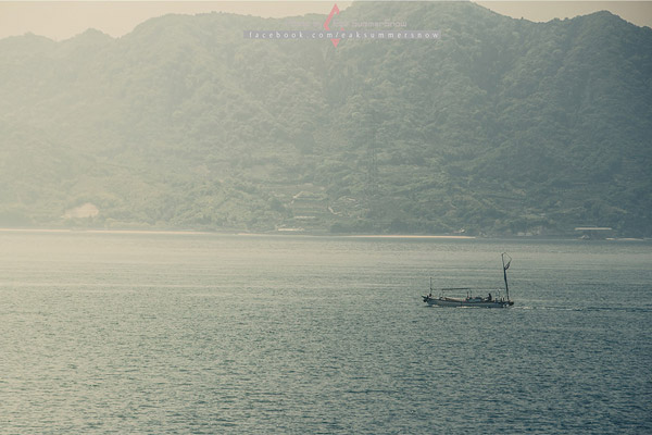 เกาะกระต่าย เกาะกระต่าย
