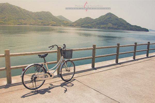 เกาะกระต่าย เกาะกระต่าย