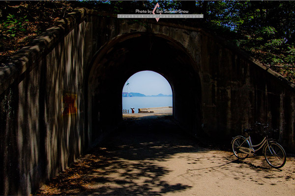 เกาะกระต่าย เกาะกระต่าย