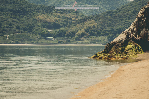 เกาะกระต่าย เกาะกระต่าย