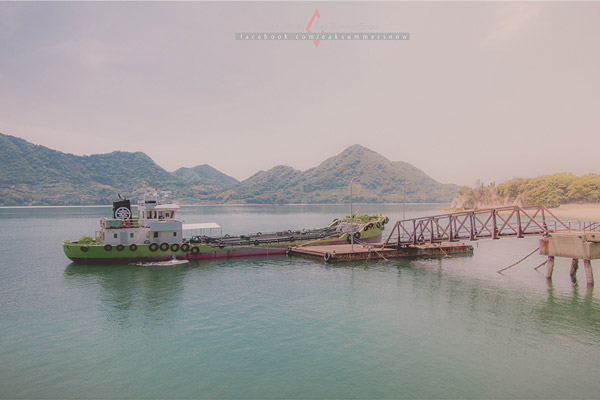 เกาะกระต่าย เกาะกระต่าย