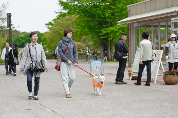 Hitachi Seaside Park Hitachi Seaside Park