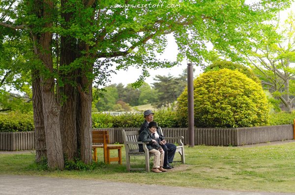 Hitachi Seaside Park Hitachi Seaside Park