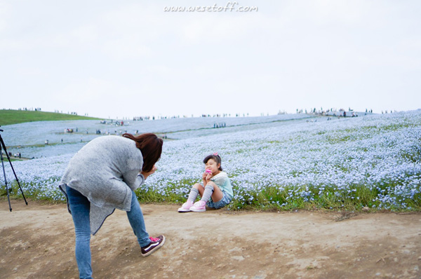 Hitachi Seaside Park Hitachi Seaside Park