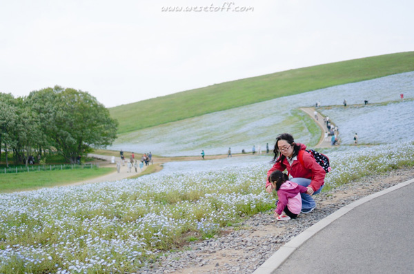Hitachi Seaside Park Hitachi Seaside Park