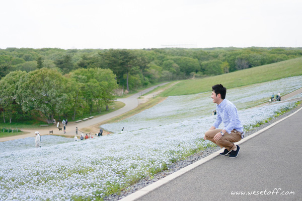 Hitachi Seaside Park Hitachi Seaside Park